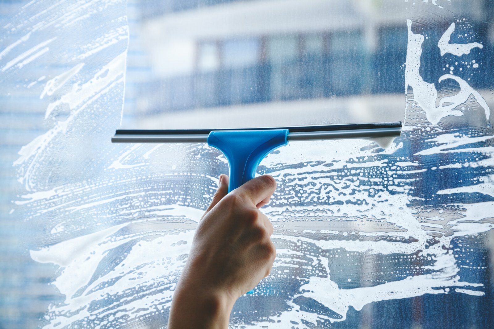 WINDOWS CLEANING